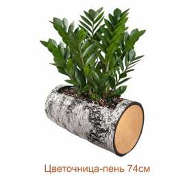 Цветочница-пень "БЕРЕЗА" горизонтальная, 74 см