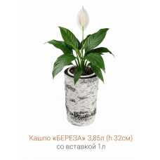 Кашпо-пень "БЕРЕЗА" высокое со вставкой, объем 3.85 л (высота 32 см)