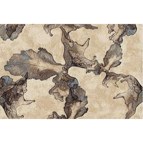 Фото Ковер Merinos Sierra D711, BEIGE-BROWN 0,80*1,50